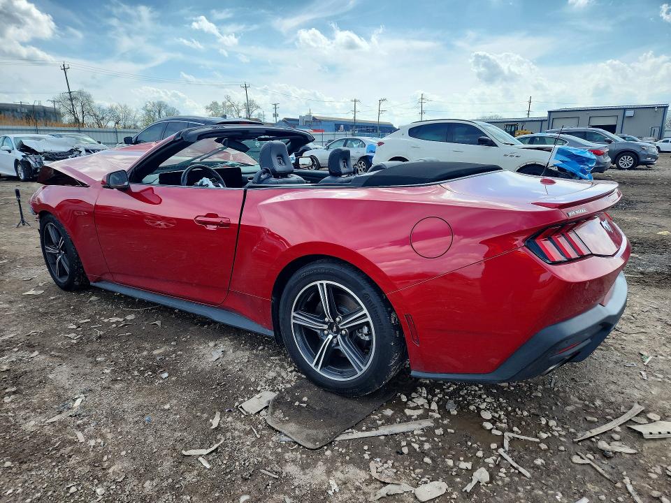 Продажа на аукционе авто 2024 Ford Mustang, vin: 1FAGP8UH7R5131859, номер лота: 50076066