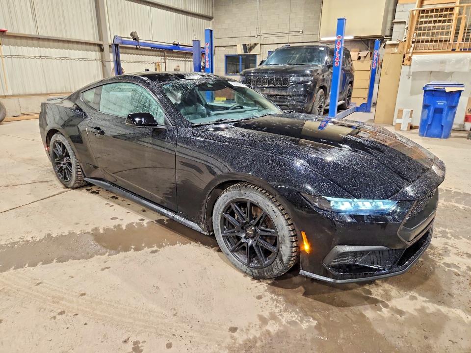 Продажа на аукционе авто 2024 Ford Mustang, vin: 1FA6P8TH5R5104074, номер лота: 49307686