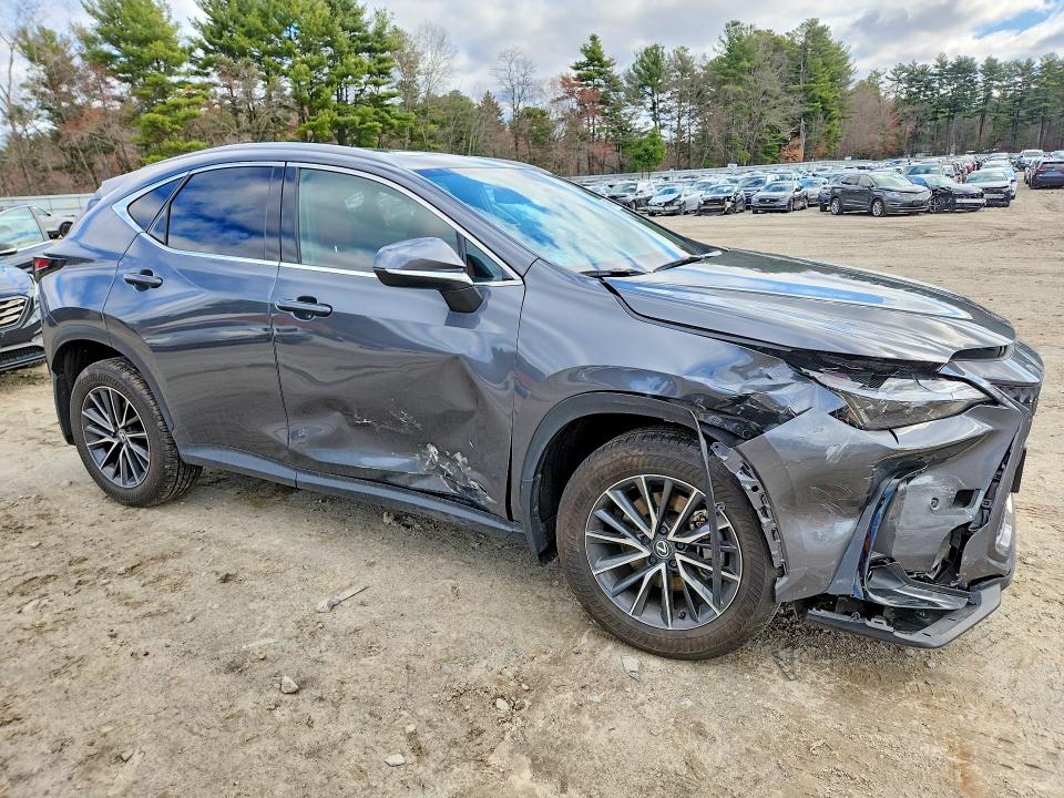 Продажа на аукционе авто 2025 Lexus Nx 350, vin: 2T2GGCEZXSC063226, номер лота: 48662086