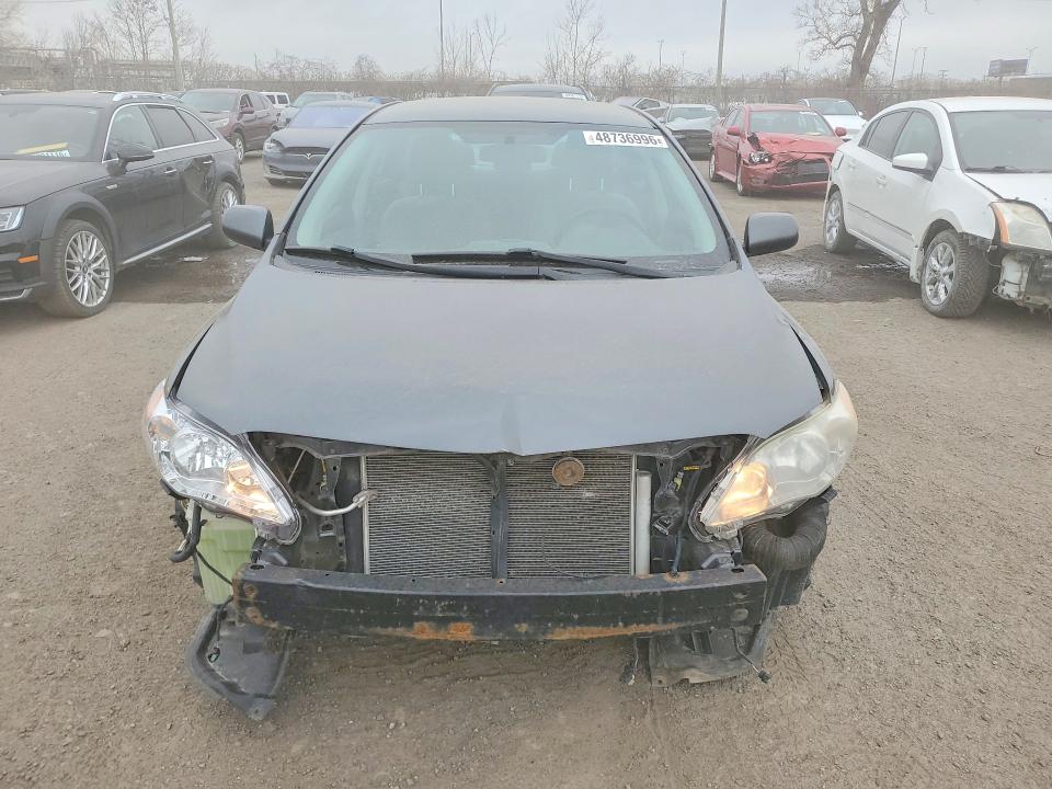 48736996 :رقم المزاد ، 2T1BU4EE3BC749084 vin ، 2011 Toyota Corolla مزاد بيع