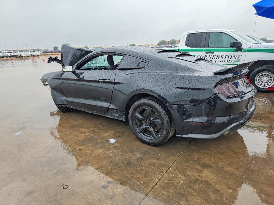 50733856 :رقم المزاد ، 1FA6P8THXK5178189 vin ، 2019 Ford Mustang مزاد بيع