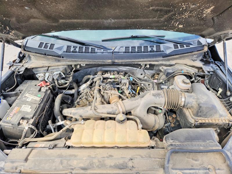 49603296 :رقم المزاد ، 1FTEW1EP6KKC93801 vin ، 2019 Ford F150 مزاد بيع
