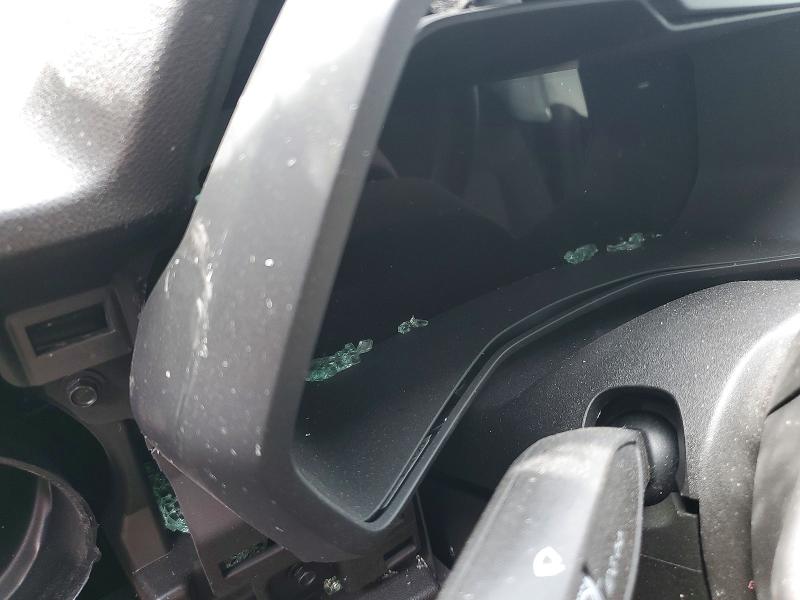 Aukcja sprzedaży 2024 Chevrolet Colorado, vin: 1GCPTBEK4R1229753, numer aukcji: 49124736