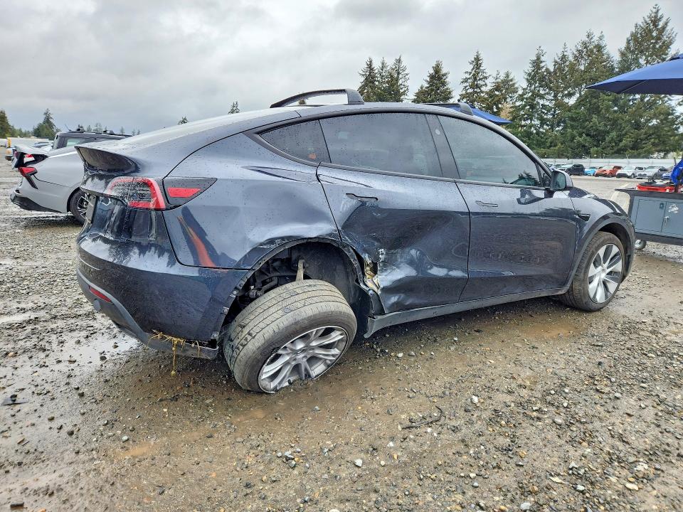 Продажа на аукционе авто 2024 Tesla Model Y, vin: 7SAYGDEE6RF013881, номер лота: 50675246
