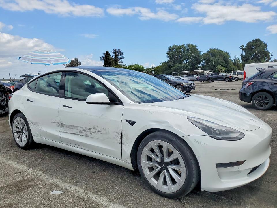 Продаж на аукціоні авто 2021 Tesla Model 3, vin: 5YJ3E1EA2MF031909, номер лоту: 50360076