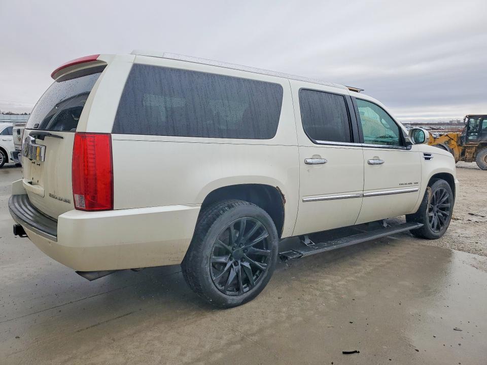 Auction sale of the 2010 Cadillac Escalade, vin: 1GYUKKEF7AR289485, lot number: 47917586