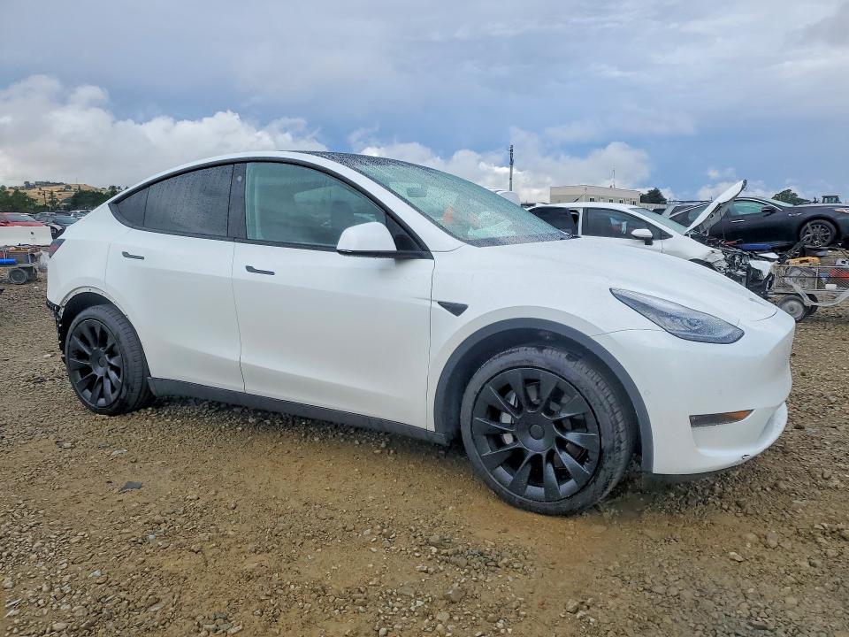 Aukcja sprzedaży 2021 Tesla Model Y, vin: 5YJYGDEEXMF153552, numer aukcji: 49023566