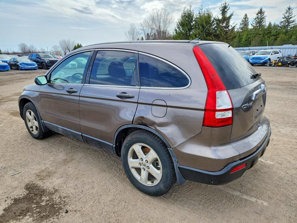 Aukcja sprzedaży 2009 Honda Cr-v, vin: 5J6RE48589L809316, numer aukcji: 50165726