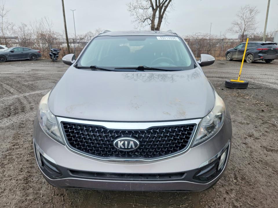 Продаж на аукціоні авто 2014 Kia Sportage, vin: KNDPCCAC9E7591556, номер лоту: 49213336