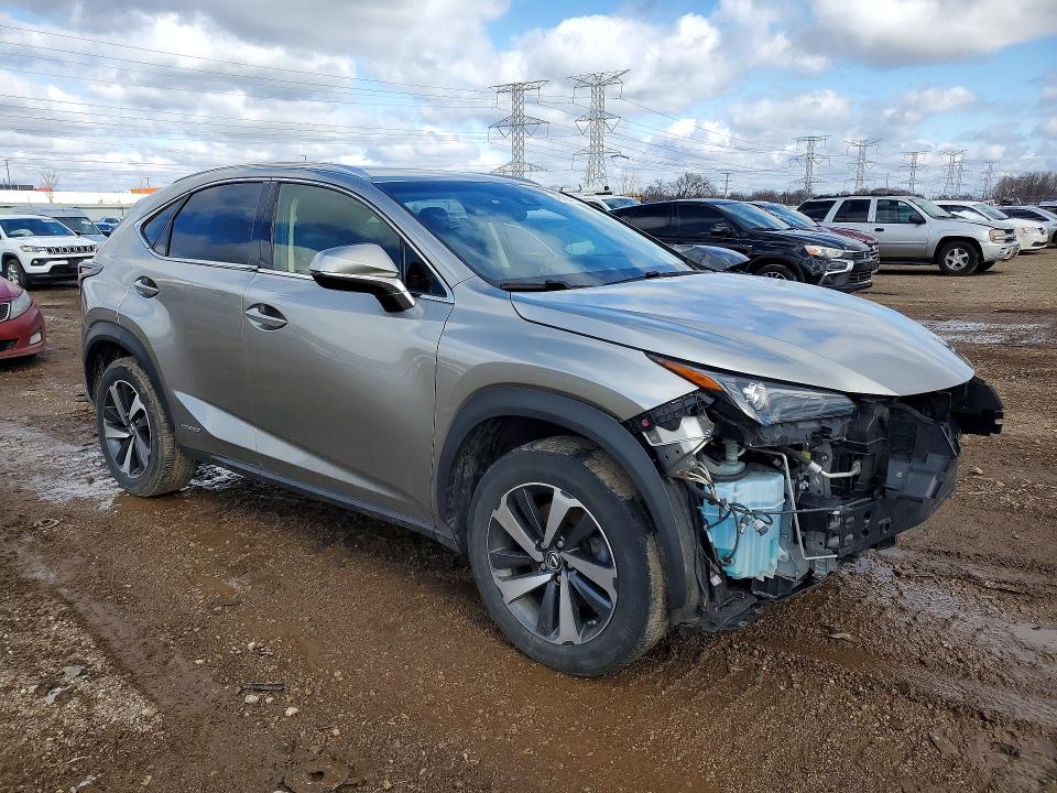 Продаж на аукціоні авто 2018 Lexus Nx 300h, vin: JTJBJRBZ0J2088606, номер лоту: 48780766