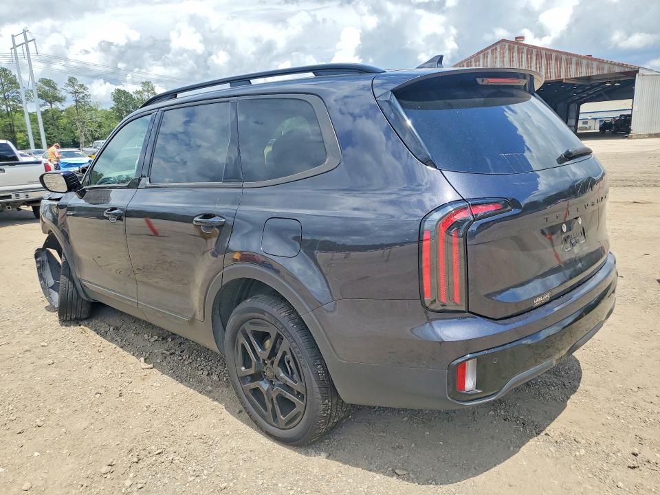 Продаж на аукціоні авто 2025 Kia Telluride, vin: 5XYP5DGC9SG574598, номер лоту: 51018896