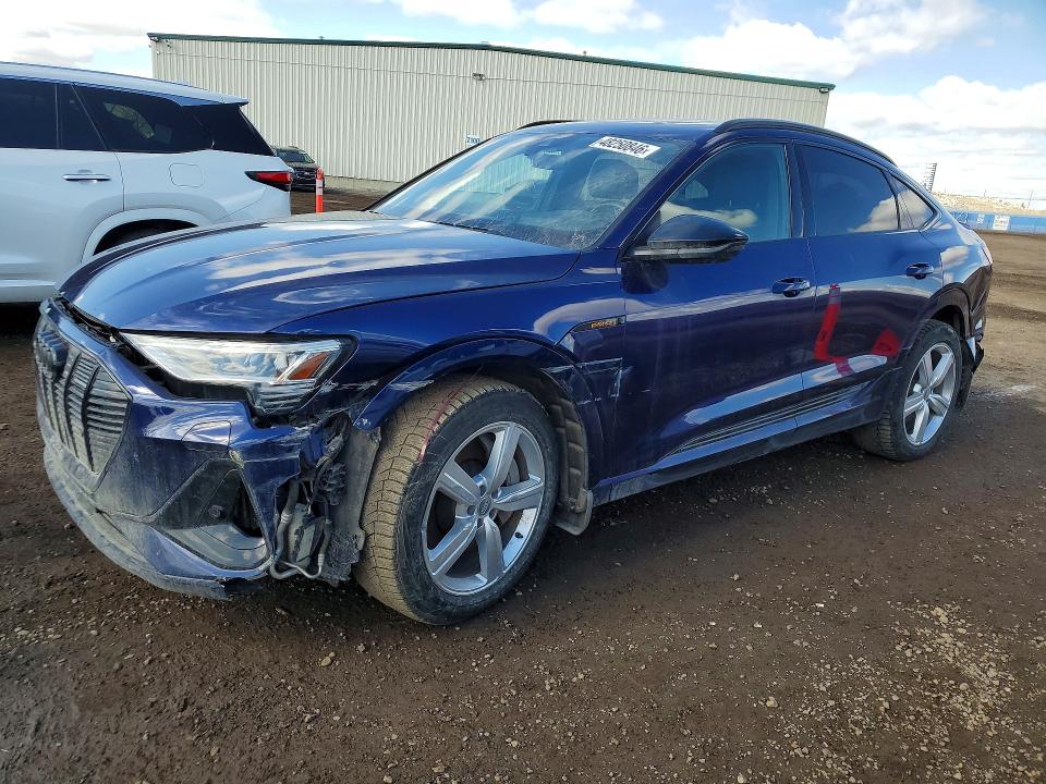 Продажа на аукционе авто 2022 Audi E-tron, vin: WA13AAGE8NB034999, номер лота: 48250846