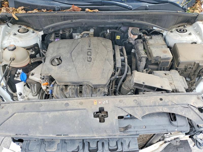 2023 Hyundai Santa Fe მანქანა იყიდება აუქციონზე, vin: 5NMS24AJXPH563293, აუქციონის ნომერი: 50954016