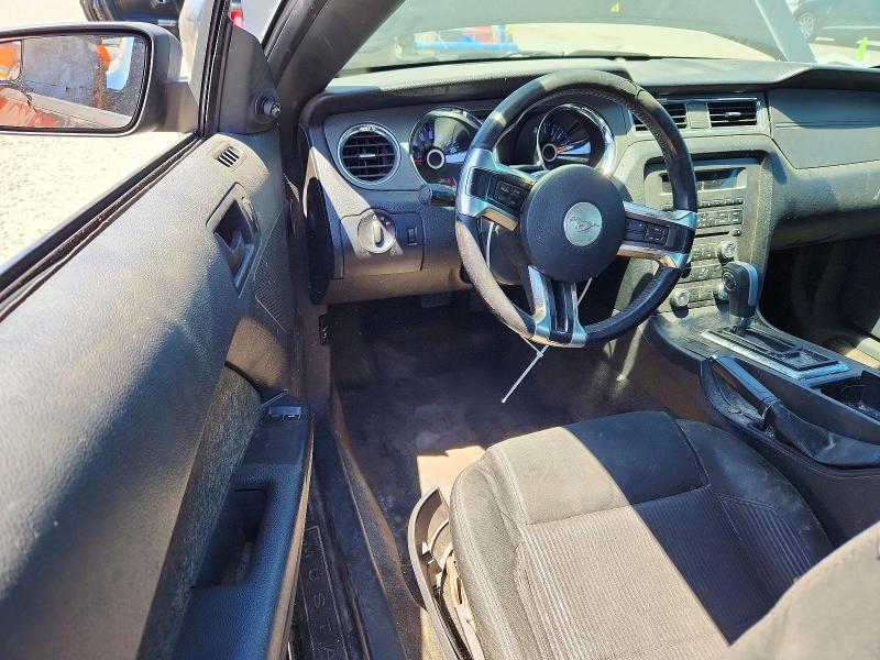 Продаж на аукціоні авто 2014 Ford Mustang, vin: 1ZVBP8AM2E5312896, номер лоту: 50645066