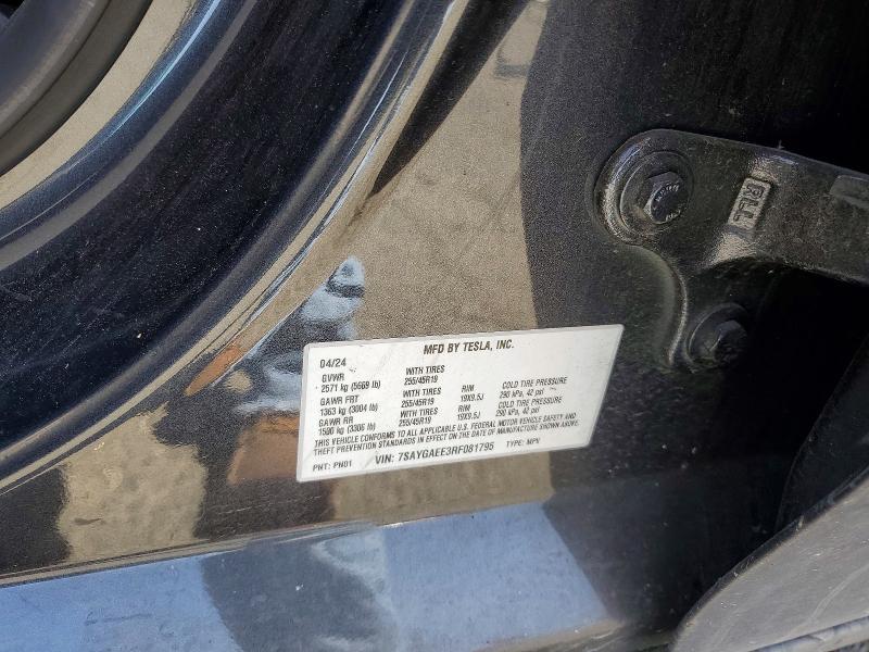 Aukcja sprzedaży 2024 Tesla Model Y, vin: 7SAYGAEE3RF081795, numer aukcji: 49122516