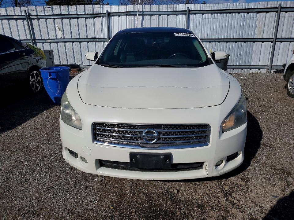 Продаж на аукціоні авто 2011 Nissan Maxima, vin: 1N4AA5AP2BC857454, номер лоту: 50066996