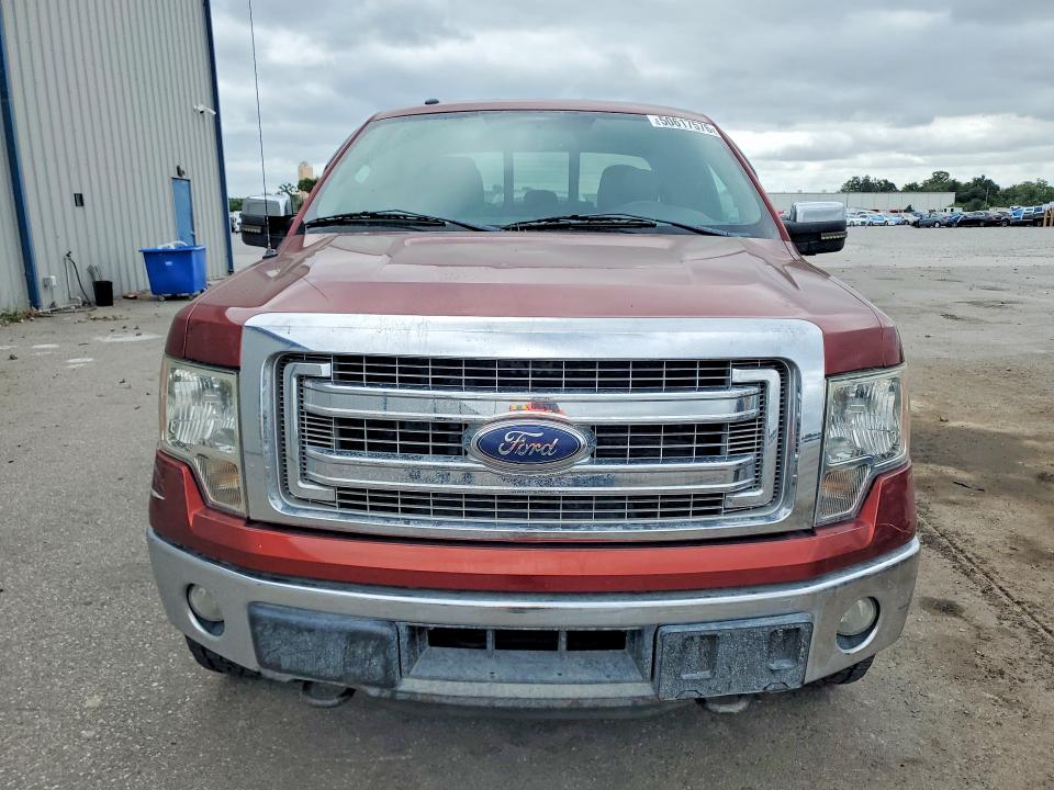 50617576 :رقم المزاد ، 1FTFX1ET9EKD28429 vin ، 2014 Ford F150 مزاد بيع
