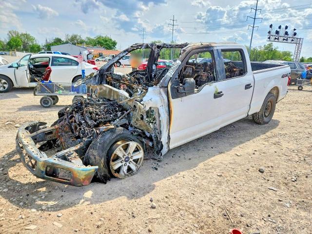 Продаж на аукціоні авто 2019 Ford F150, vin: 1FTFW1E58KKC53271, номер лоту: 51366446
