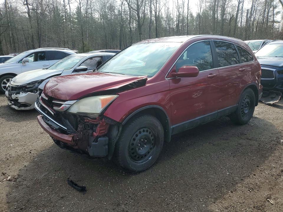 Aukcja sprzedaży 2010 Honda Cr-v, vin: 5J6RE4H72AL800844, numer aukcji: 49570666