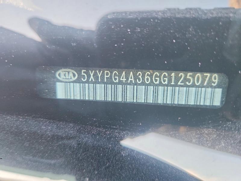 Продаж на аукціоні авто 2016 Kia Sorento, vin: 5XYPG4A36GG125079, номер лоту: 48748516