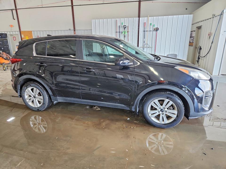 2017 Kia Sportage მანქანა იყიდება აუქციონზე, vin: KNDPM3AC2H7135609, აუქციონის ნომერი: 49078866
