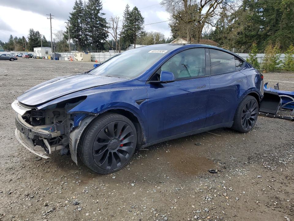 Продаж на аукціоні авто 2022 Tesla Model Y, vin: 7SAYGDEF0NF469507, номер лоту: 48122536