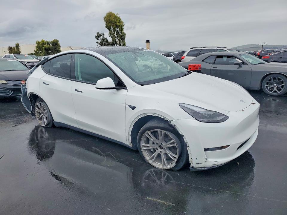 Продаж на аукціоні авто 2023 Tesla Model Y, vin: 7SAYGDEE9PF839377, номер лоту: 50520876