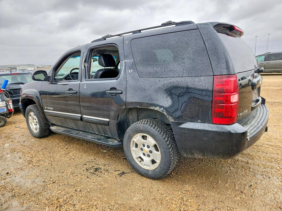 Продажа на аукционе авто 2009 Chevrolet Tahoe, vin: 1GNFK13009R150129, номер лота: 50904776