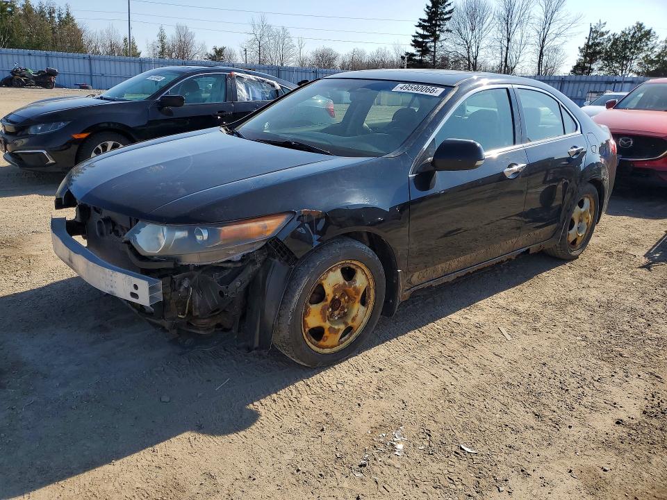 Продаж на аукціоні авто 2010 Acura Tsx, vin: JH4CU2F50AC800537, номер лоту: 49590066