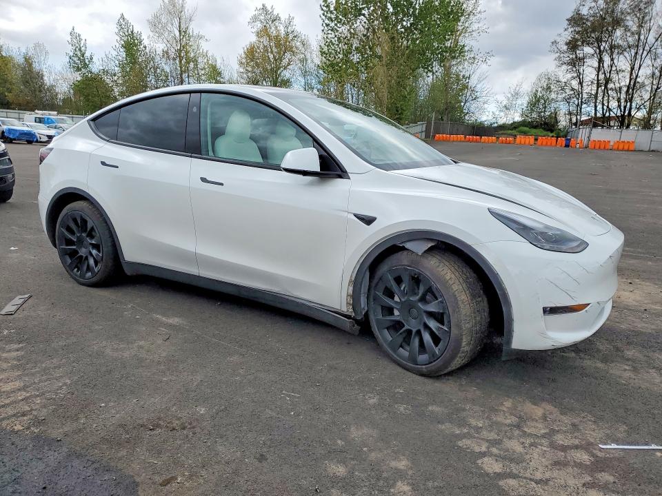 Продажа на аукционе авто 2025 Tesla Model Y, vin: 7SAYGDED0SF281595, номер лота: 50438926
