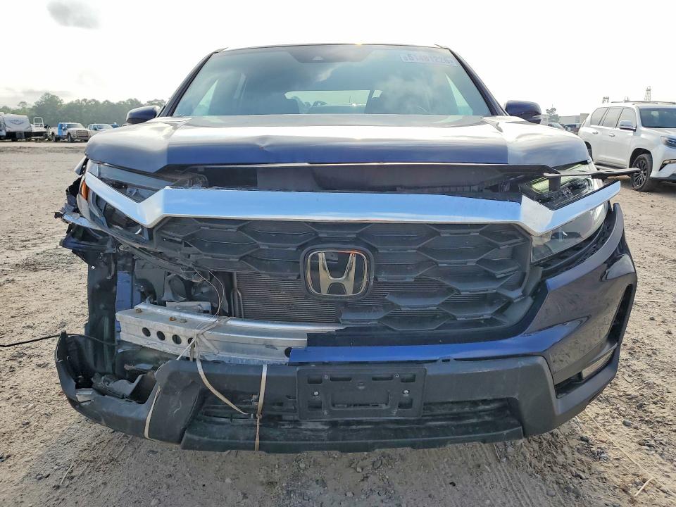 Aukcja sprzedaży 2024 Honda Passport, vin: 5FNYF8H56RB012703, numer aukcji: 51481226