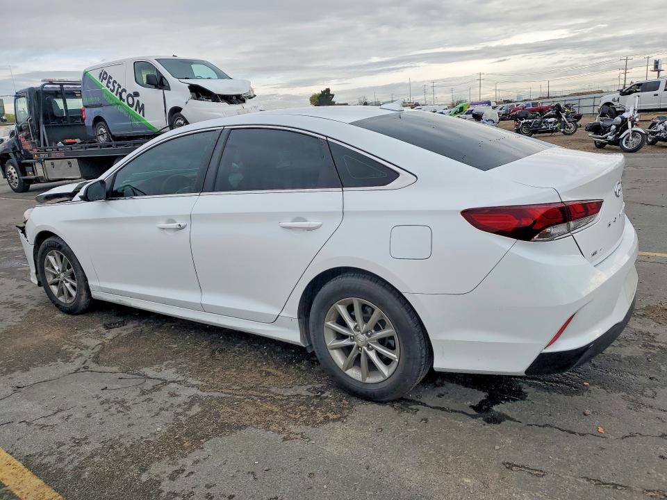 Продаж на аукціоні авто 2019 Hyundai Sonata, vin: 5NPE24AF6KH777430, номер лоту: 48278176