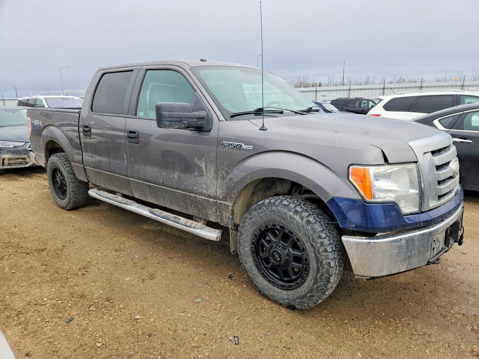 50527496 :رقم المزاد ، 1FTEW1E82AFC41033 vin ، 2010 Ford F150 مزاد بيع