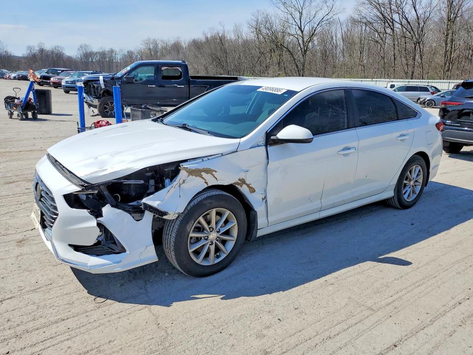 Продаж на аукціоні авто 2019 Hyundai Sonata, vin: 5NPE24AF5KH814922, номер лоту: 49096886