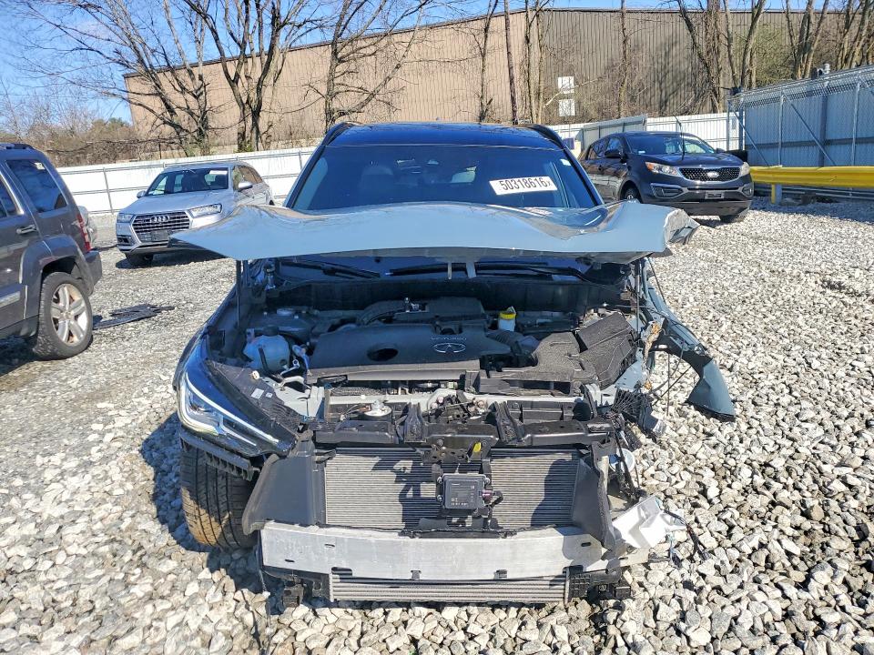 Aukcja sprzedaży 2025 Infiniti Qx50, vin: 3PCAJ5FB2SF105294, numer aukcji: 50318616