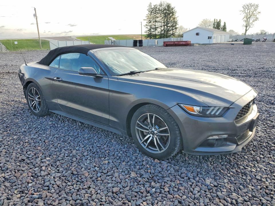 49641226 :رقم المزاد ، 1FATP8UH7H5204256 vin ، 2017 Ford Mustang مزاد بيع