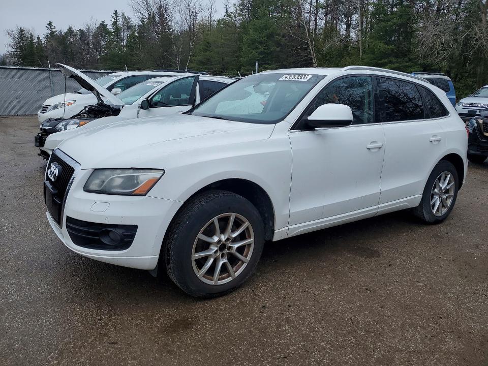 Продажа на аукционе авто 2010 Audi Q5, vin: WA1LKCFP4AA048796, номер лота: 49909506