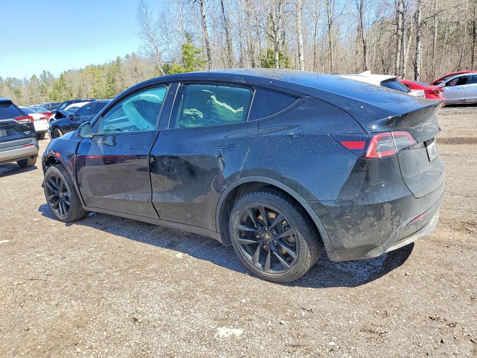 Aukcja sprzedaży 2023 Tesla Model Y, vin: LRWYGDEEXPC266657, numer aukcji: 50514036