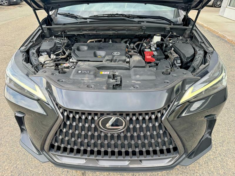 50274876 :رقم المزاد ، JTJADCAZ5N2001984 vin ، 2022 Lexus Nx مزاد بيع
