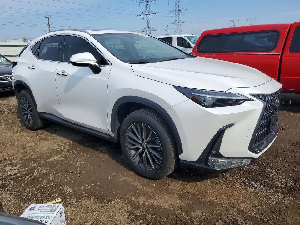 48695036 :رقم المزاد ، 2T2AGCEZ3SC061260 vin ، 2025 Lexus Nx 350 مزاد بيع