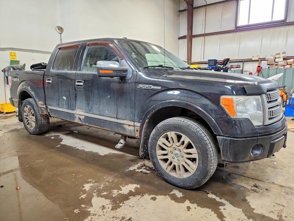 Продажа на аукционе авто 2010 Ford F150, vin: 1FTFW1EV0AFA20038, номер лота: 51180026
