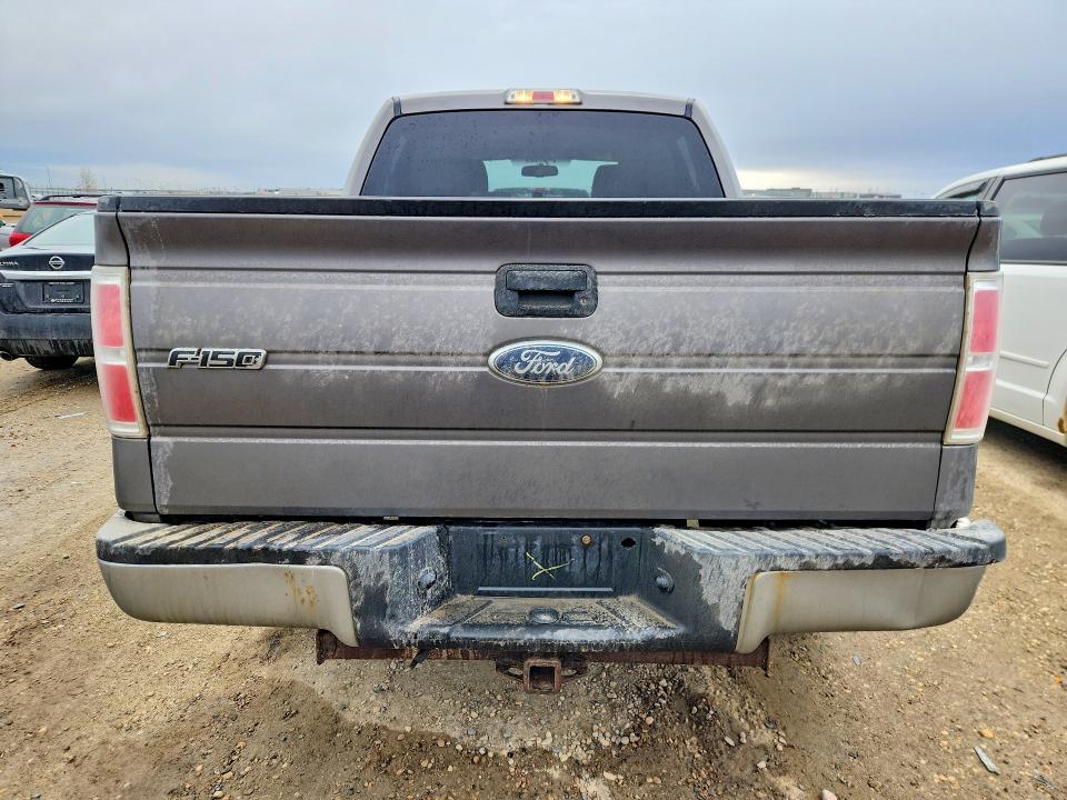 50527496 :رقم المزاد ، 1FTEW1E82AFC41033 vin ، 2010 Ford F150 مزاد بيع