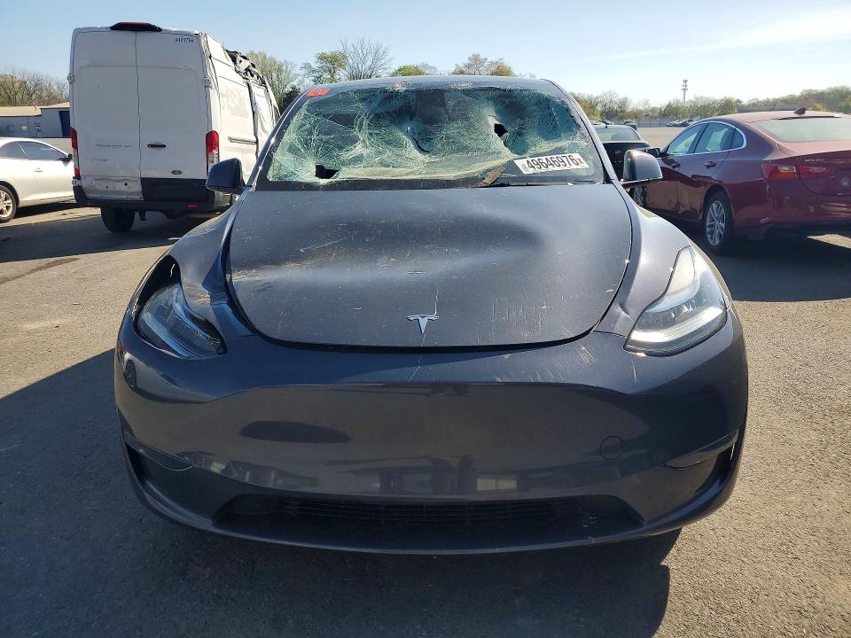 Продажа на аукционе авто 2023 Tesla Model Y, vin: 7SAYGDEE3PA036061, номер лота: 49646976