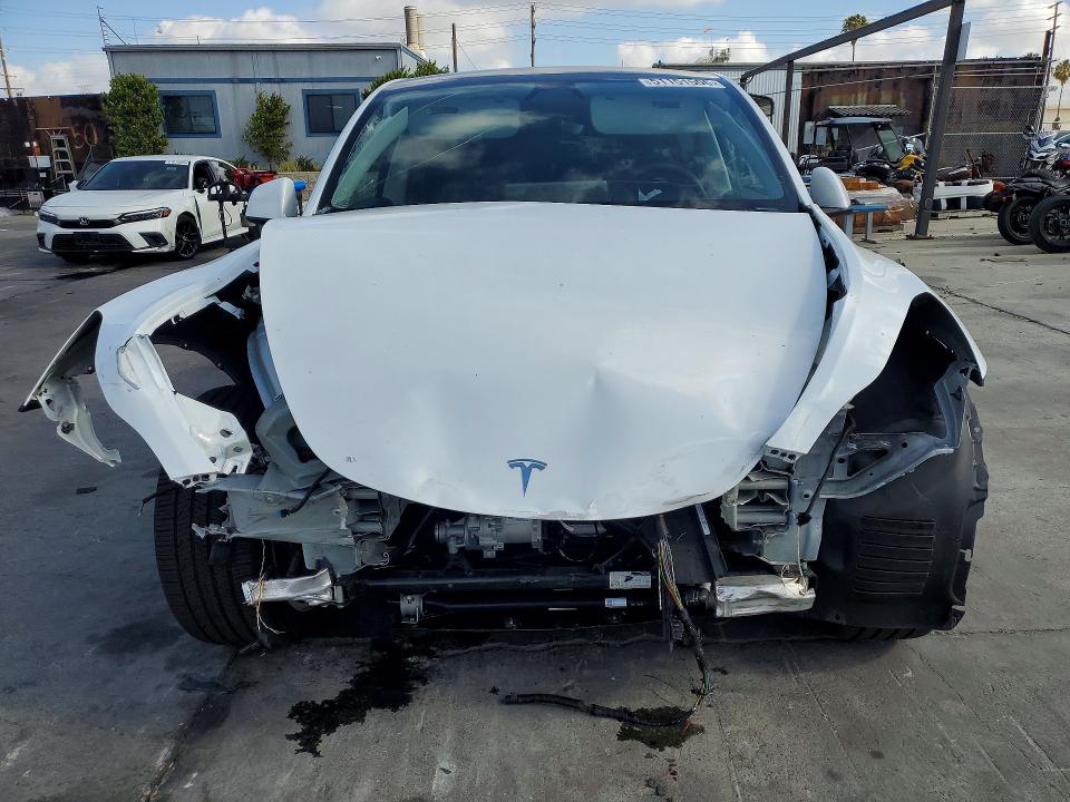 Продажа на аукционе авто 2024 Tesla Model Y, vin: 7SAYGDEE3RA257596, номер лота: 51151506