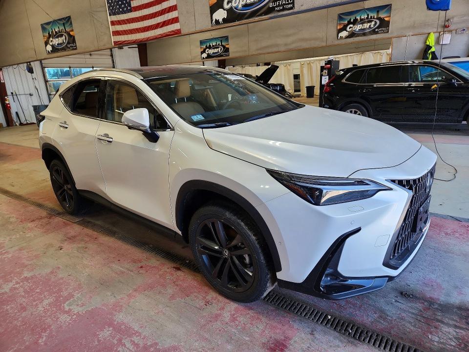 74366465 :رقم المزاد ، JTJHKCFZ9S2056639 vin ، 2025 Lexus Nx مزاد بيع