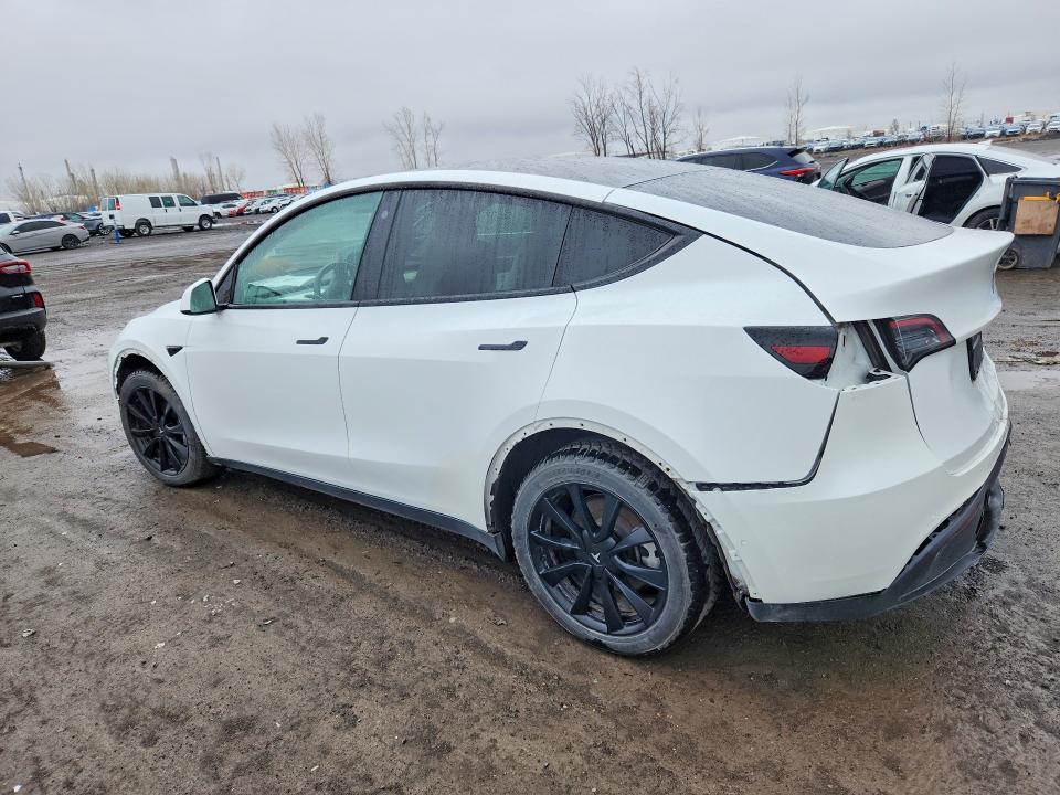 Продаж на аукціоні авто 2021 Tesla Model Y, vin: 5YJYGDEEXMF293357, номер лоту: 49409136