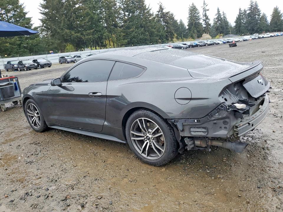 Продаж на аукціоні авто 2017 Ford Mustang, vin: 1FA6P8TH0H5318968, номер лоту: 50681456