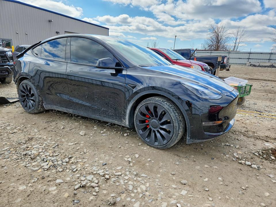 Aukcja sprzedaży 2023 Tesla Model Y, vin: 7SAYGDEF8PF811854, numer aukcji: 49382176