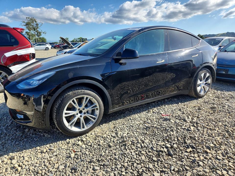 Продажа на аукционе авто 2021 Tesla Model Y, vin: 5YJYGAED4MF174032, номер лота: 49950076