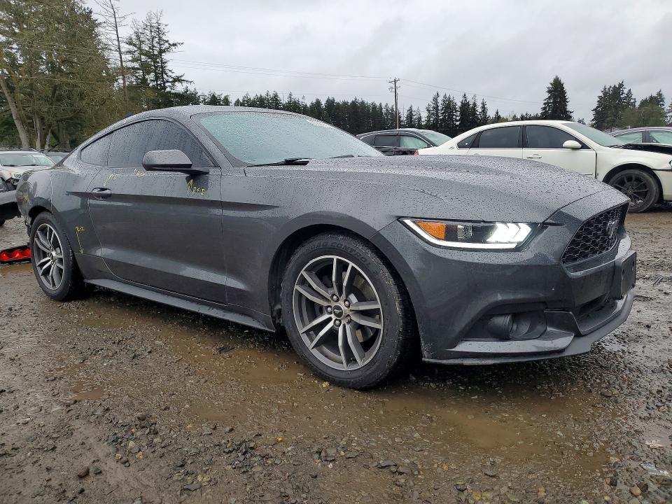 Продаж на аукціоні авто 2017 Ford Mustang, vin: 1FA6P8TH0H5318968, номер лоту: 50681456